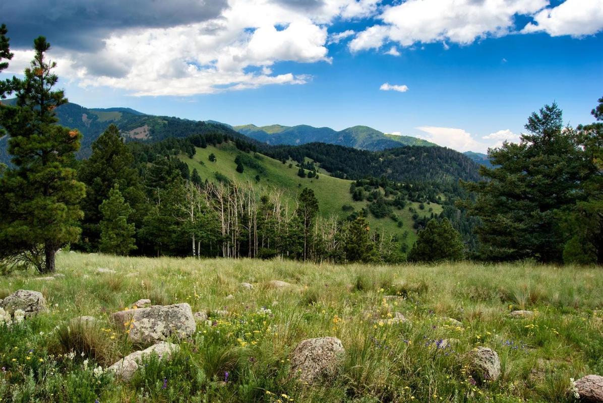 Alpine Cabin, 3 Bedrooms, Deck, Sleeps 8 Ruidoso Ngoại thất bức ảnh